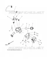 SISTEMA DI ALIMENTAZIONE CARBURANTE, FUEL RAIL/THROTTLE BODY