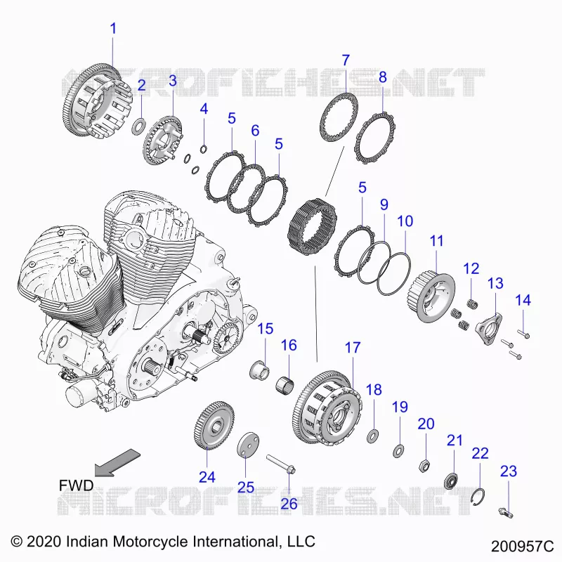 TRASMISSIONE, CLUTCH AND PRIMARY DRIVE