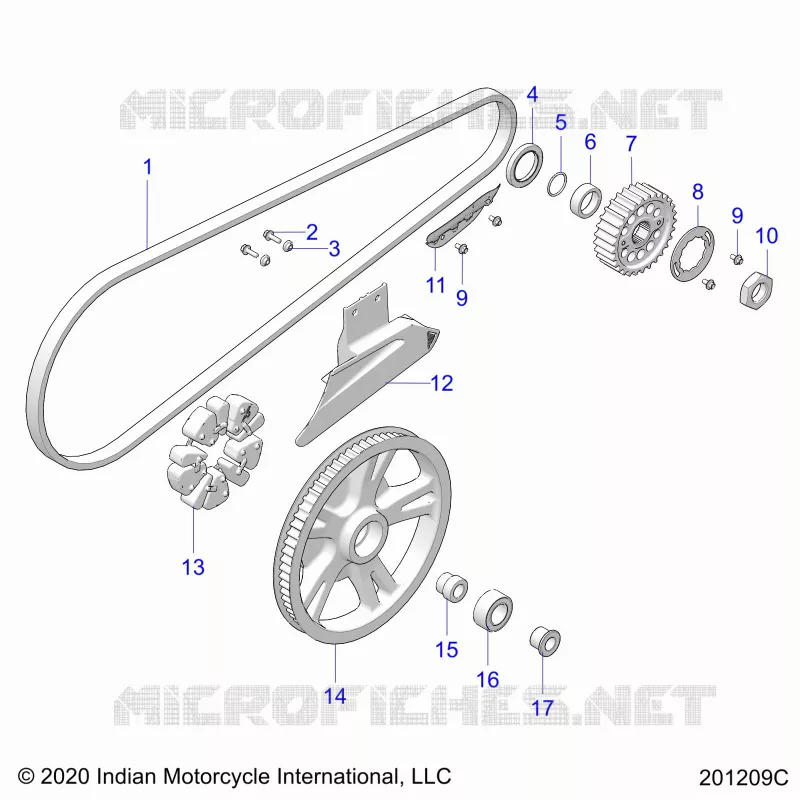 TRASMISSIONE, DRIVE SPROCKET, BELT AND GUARD