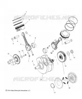 ENGINE, PISTON AND ALBERO MOTORE