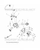 FUEL SYSTEM, FUEL RAIL/CORPO FARFALLATO
