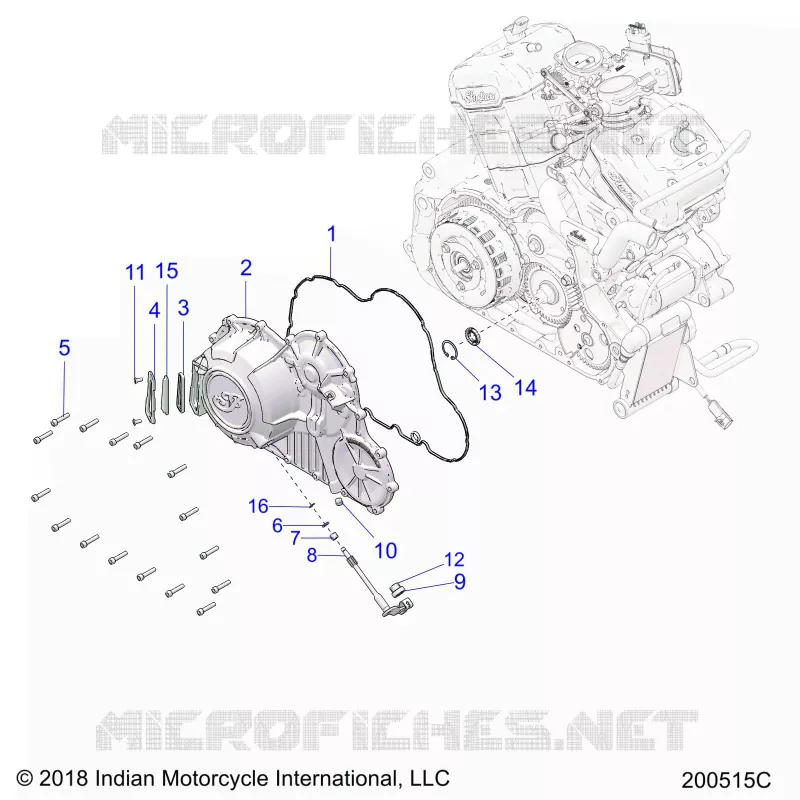 ENGINE, PRIMARY AND COPERCHIO FRIZIONE