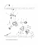FUEL SYSTEM, FUEL RAIL/CORPO FARFALLATO